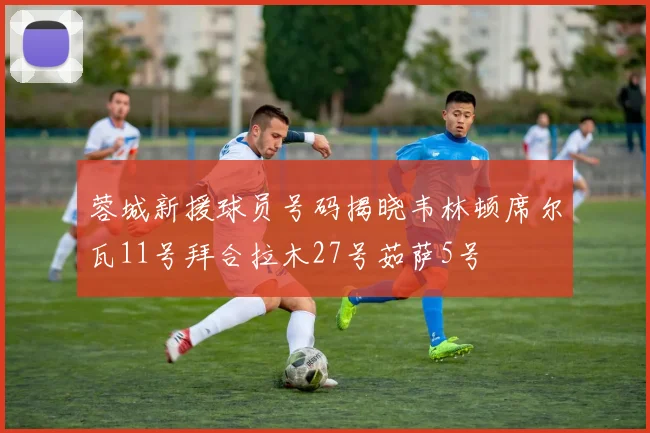 蓉城新援球员号码揭晓韦林顿席尔瓦11号拜合拉木27号茹萨5号