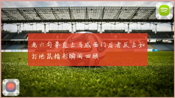 老六勾拳直击马威面门后者反击如打地鼠精彩瞬间回顾